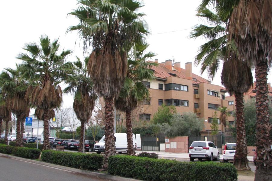 Vivienda familiar con terraza, piscina y amplias zonas verdes, perfecta para niños 2392VIV